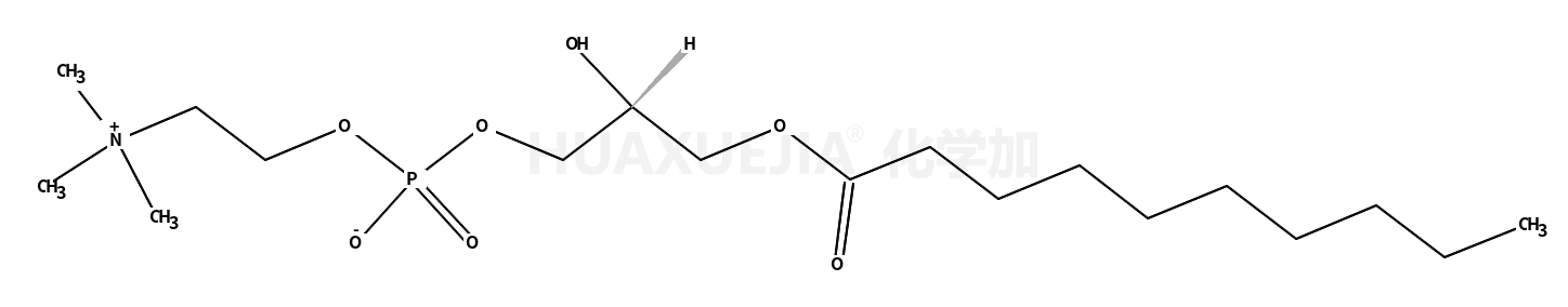 1-decanoyl-2-hydroxy-sn-glycero-3-phosphocholine