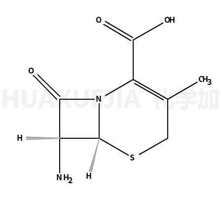7-氨基-3-甲基-8-氧代-5-硫杂-1-氮杂双环[4.2.0]辛-2-烯-2-甲酸