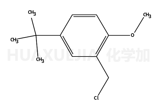 2-（氯甲基）-4-（1,1-二甲基乙基）-1-甲氧基苯