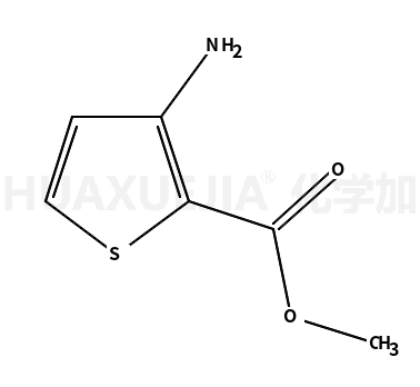 3-氨基-2-噻吩甲酸甲酯