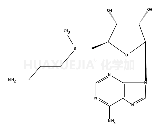丁二磺酸腺苷蛋氨酸杂质12