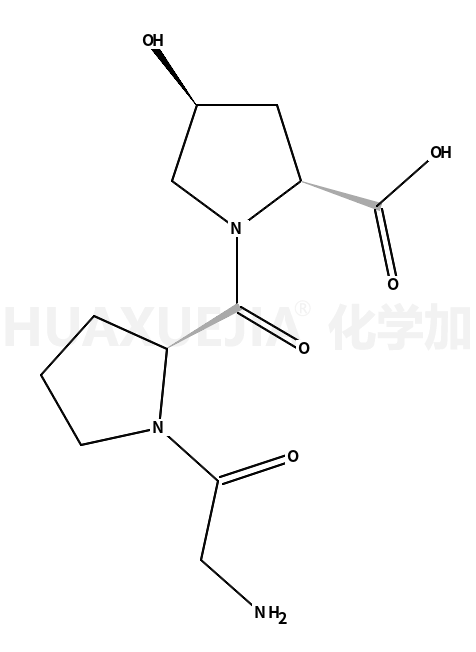 甘氨酸-脯氨酸-羟脯氨酸