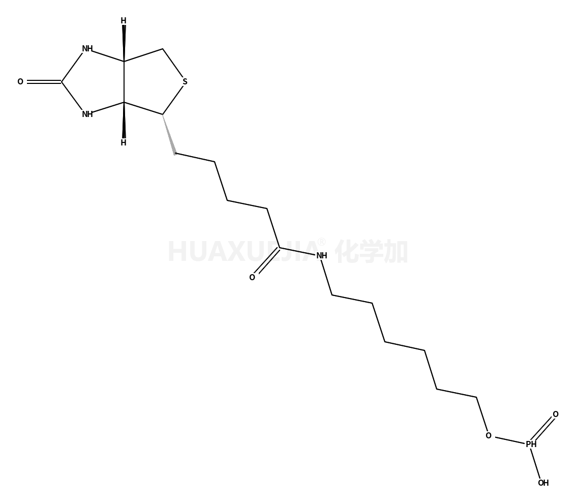 224583-35-1结构式