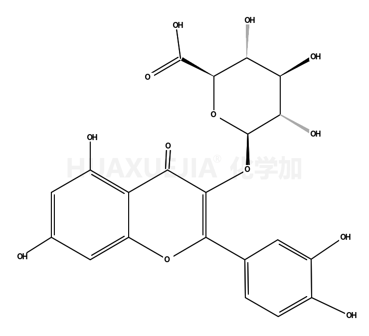 2-(3,4二羟基苯基)-5,7-二羟基-4-氧代-4H-1-苯并吡喃-3-基-beta-D-吡喃葡糖苷酸