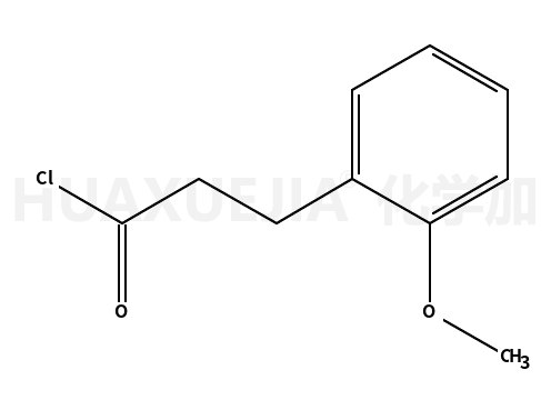 3-(2-甲氧基苯基)-丙酸氯