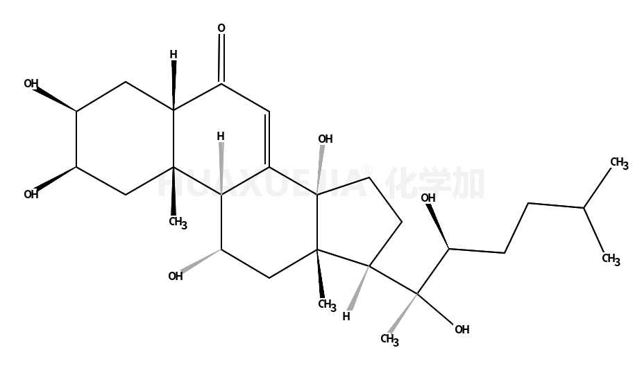 筋骨草甾酮 C