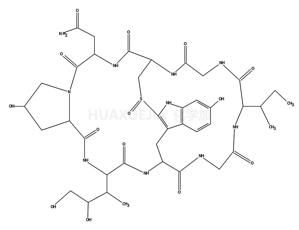 α-Amanitin