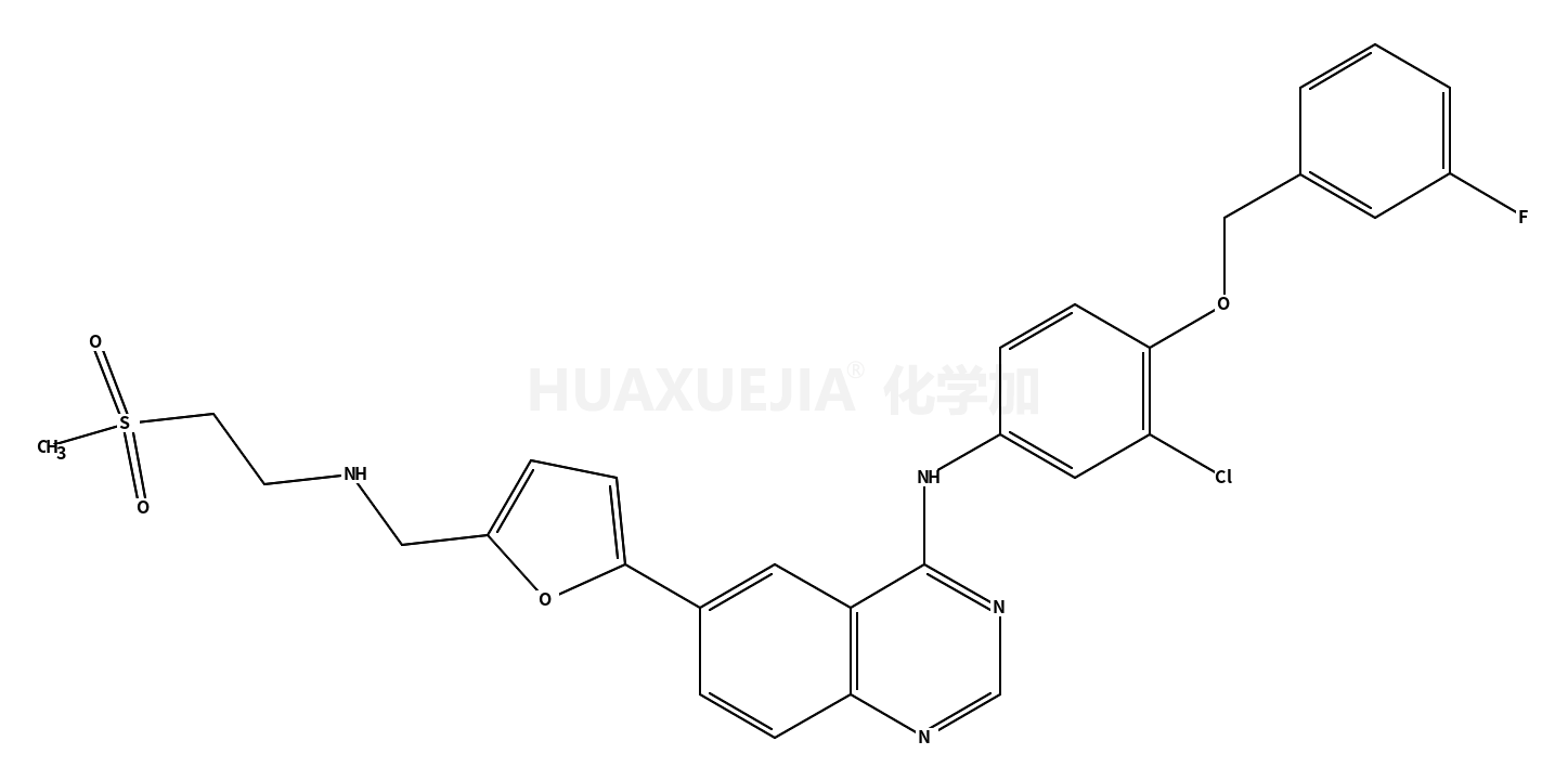 Lapatinib