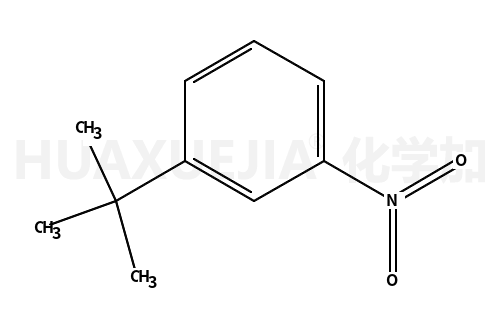 1-叔丁基-3-硝基苯