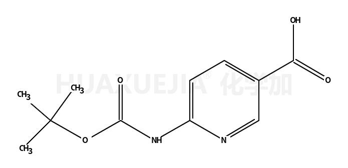 6-((叔丁氧基羰基)氨基)烟酸