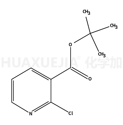 2-氯烟酸叔丁酯