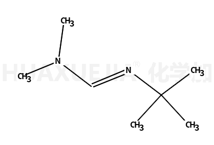N’-tert-Butyl-N，N-dimethylformamidine