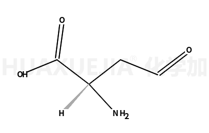 L-天冬氨酸半醛