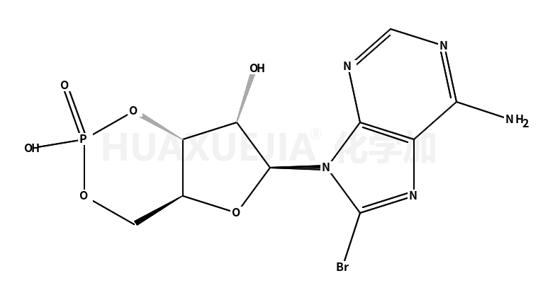 8-溴腺苷3′,5′-环单磷酸