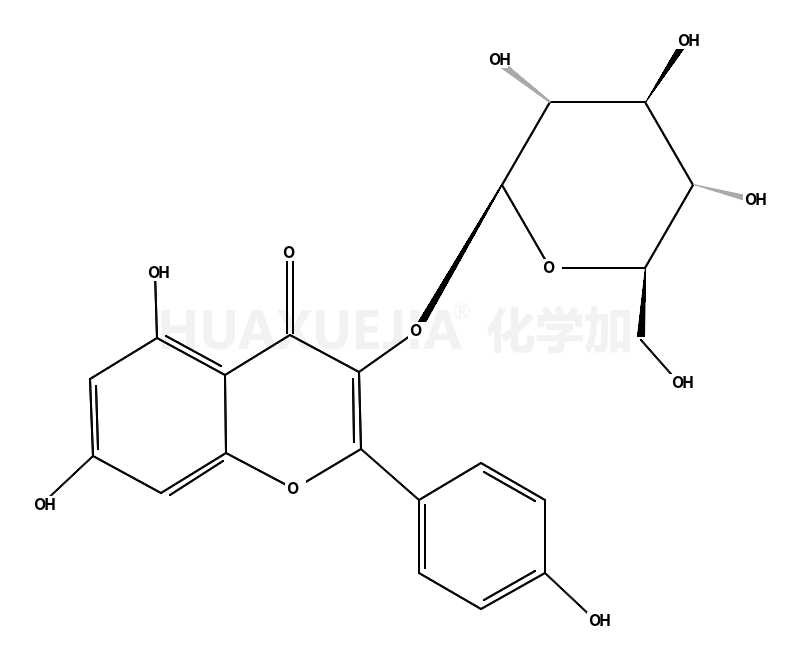 三葉豆苷;山柰酚-3-O-半乳糖苷;山奈酚-3-O-半乳糖苷