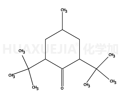 2,6-二叔丁基-4-甲基环己酮	(异构体混合物)