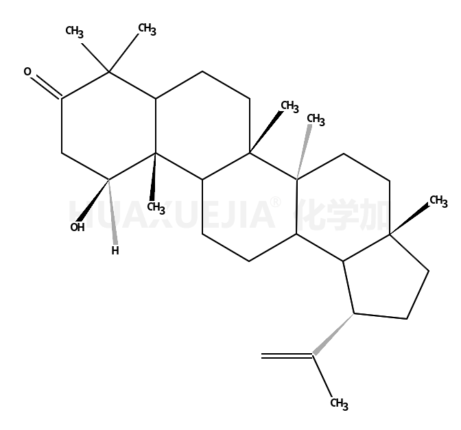 GLOCHIDONOL