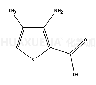 3-氨基-4-甲基-2-噻吩羧酸