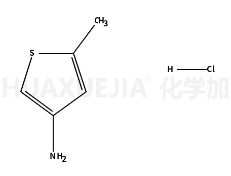 5-甲基噻吩-3-胺盐酸盐