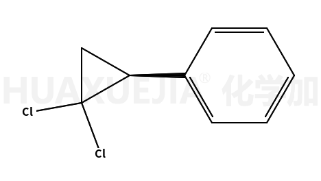 (2,2-二氯环丙基)苯