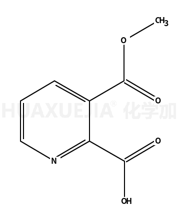 2,3-吡啶二羧酸-3-甲酯