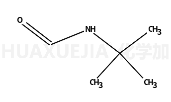 N-叔丁基甲胺