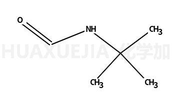 N-叔丁基甲酰胺