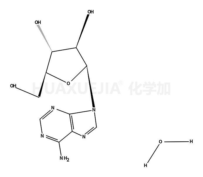 阿糖腺苷一水合物