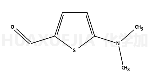 5-二甲氨基噻吩-2-甲醛