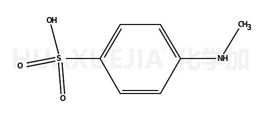 N-甲基氨基磺酸