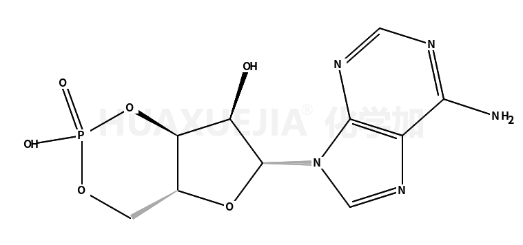 6-(6-aminopurin-9-yl)-2-hydroxy-2-oxo-4a,6,7,7a-tetrahydro-4H-furo[3,2-d][1,3,2]dioxaphosphinin-7-ol