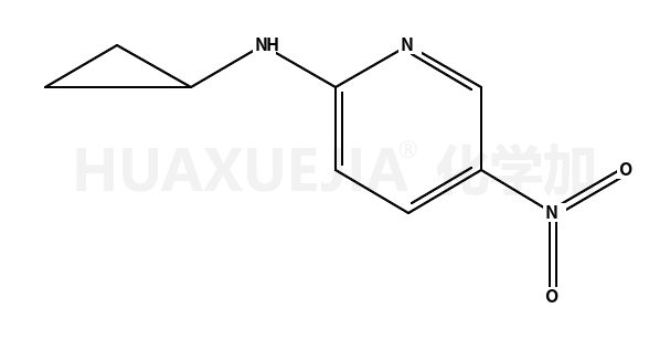 N2-环丙基-5-硝基吡啶-2-胺
