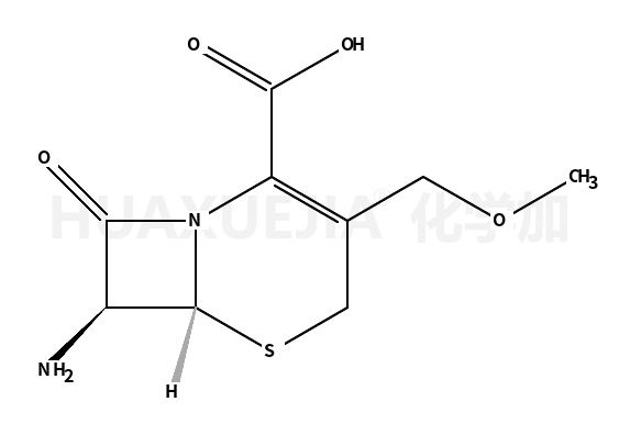 7-氨基-3-甲氧基甲基-3-頭孢烯-4-甲酸