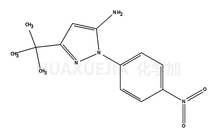 3-叔丁基-1-(4-硝基苯基)-1H-吡唑-5-胺