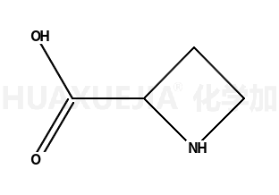 L-铃兰氨酸