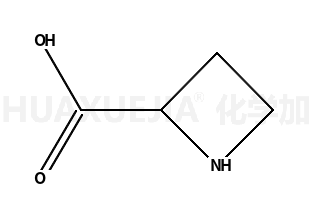 氮杂环丁烷-2-羧酸