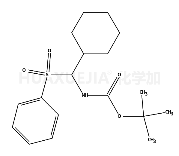 N-Boc-α-(苯磺酰)甲基环己胺