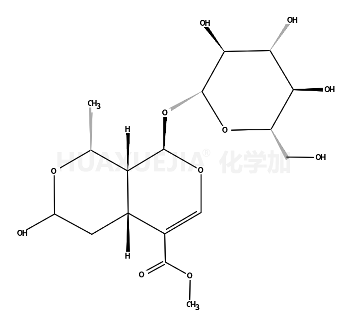 莫诺苷（α+β）