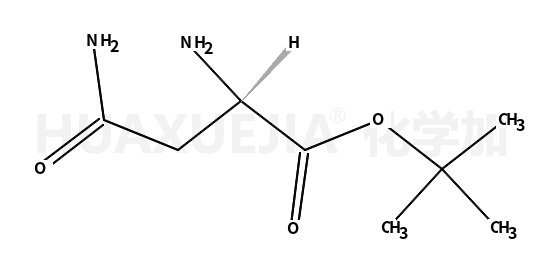 L-天冬酰胺叔丁酯