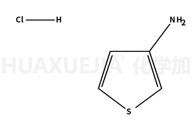 噻吩-3-胺
