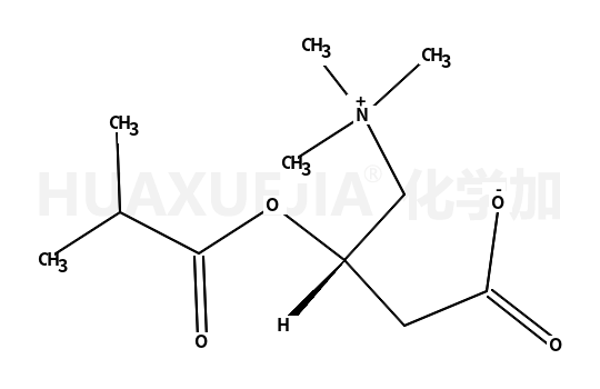 异丁酰-L-肉碱