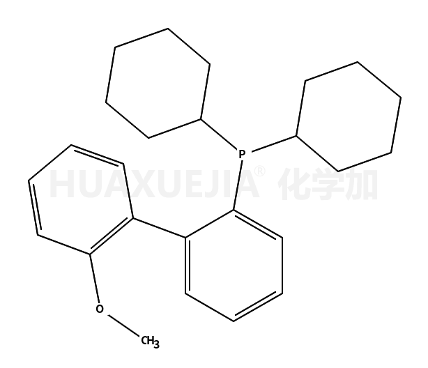2-二环已基膦-2’-甲氧基联苯