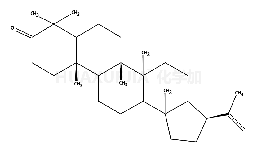 17BETA(H),21BETA(H)-HOP-22(29)-EN-3-ONE