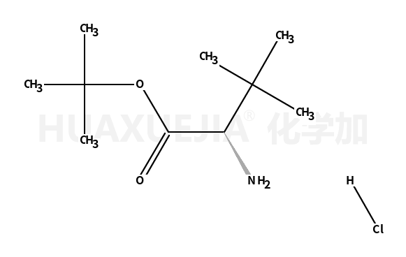 D-tert-leucine t-butyl ester hydrochloride