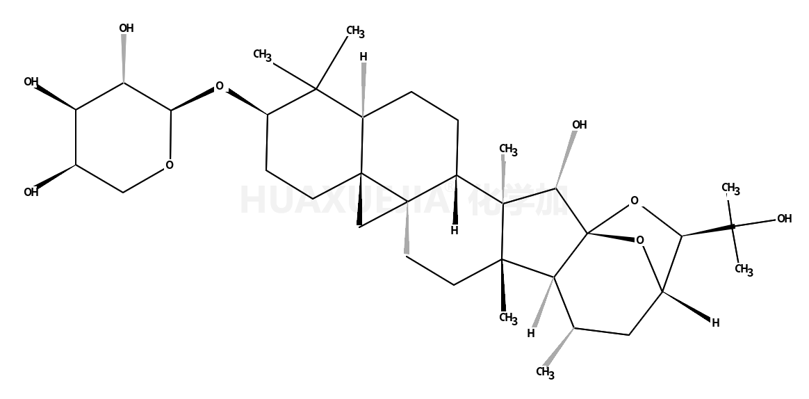 千层纸素A-7-0-&Beta-D-葡萄糖醛酸苷