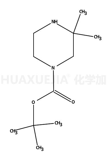 3,3-二甲基哌嗪-1-甲酸叔丁酯