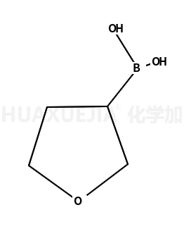 四氢呋喃-3-硼酸