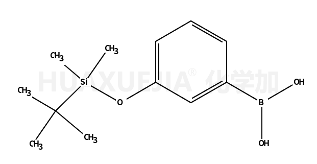 3-(叔丁基二甲硅氧基)苯硼酸