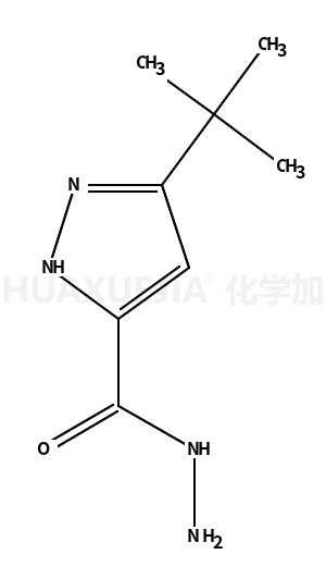 3-(叔丁基)-1H-吡唑-5-甲酰肼