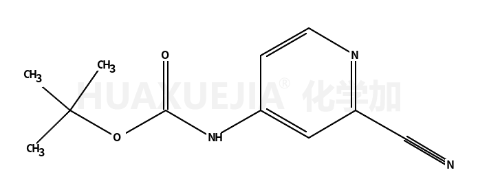 2-氰基吡啶-4-氨基甲酸叔丁酯